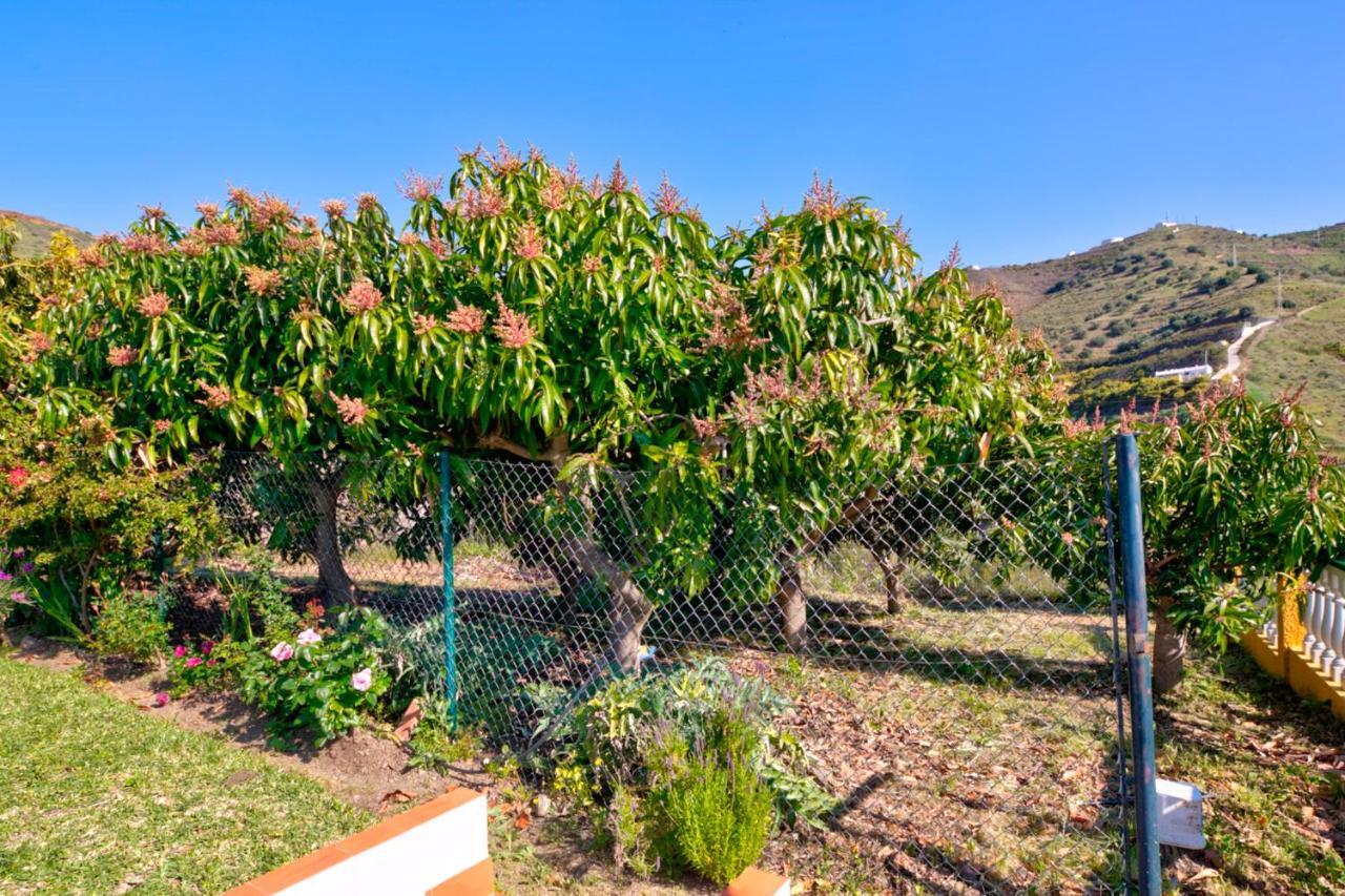 Villa Grillo Torrox Dış mekan fotoğraf